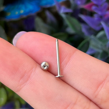 Surgical Steel 14 and 16 Gauge Flat Back Tongue Barbell - Pair - photo 4