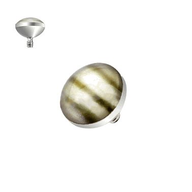 Surgical Steel 14 Gauge Shell Inlay Dome Dermal Top - 4 to 5mm