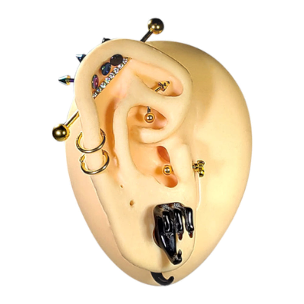 Bone 6 Gauge Talon Claw Tapers Ear Gauges - Pair - photo 2