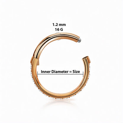 Titanium 16 Gauge Hinged Segment Ring with Forward Facing CZ - photo 2