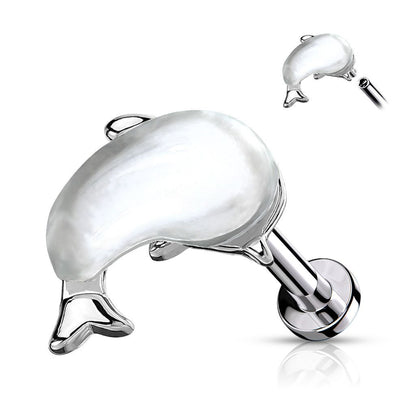 Surgical Steel 16 Gauge Flat Back Labret Stud with Whale Top