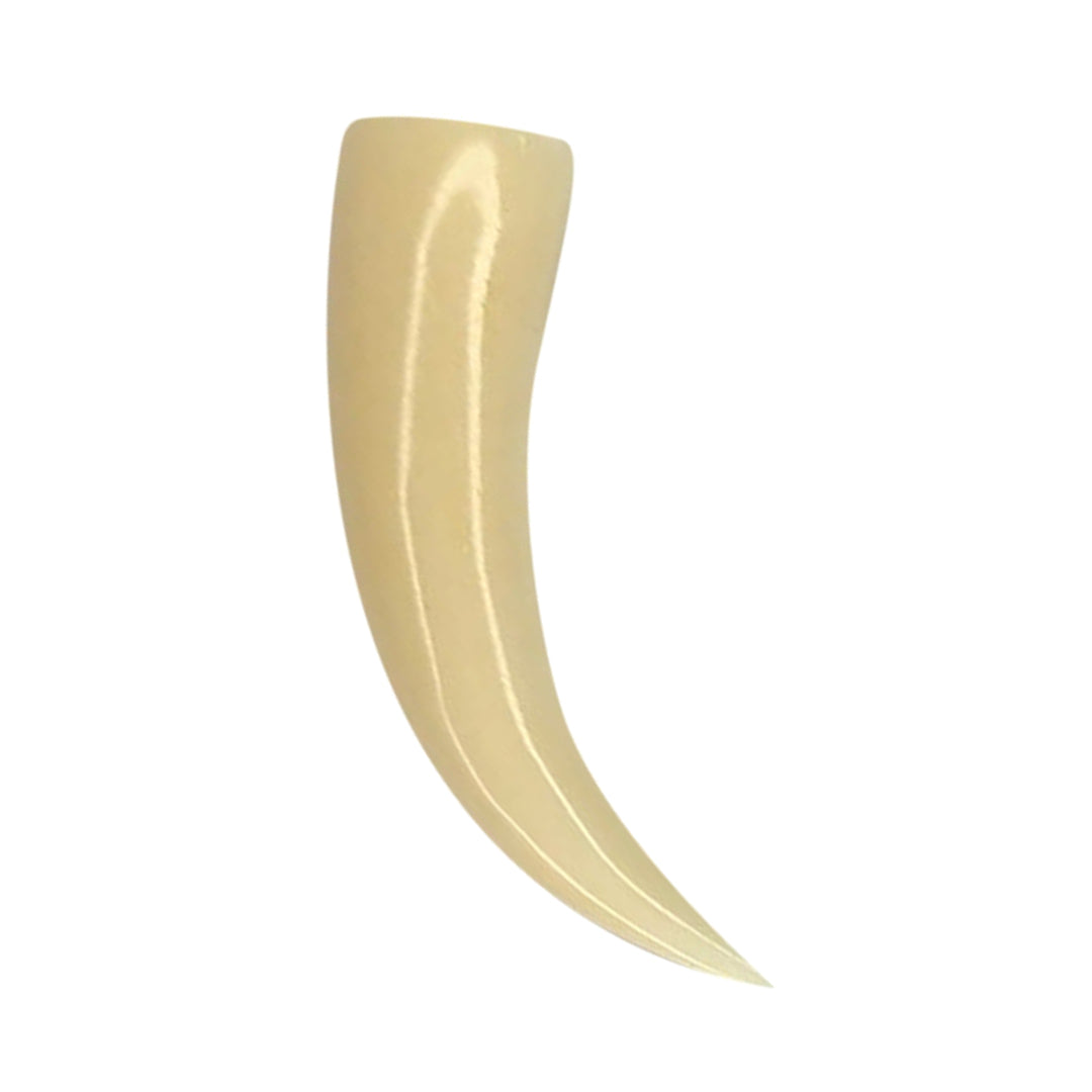 Buffalo Horn 6 to 0 Gauge Talon Claw Ear Tapers - Pair - photo 3